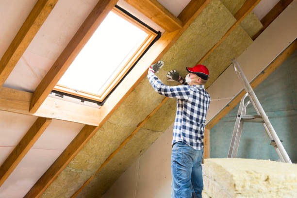 Reliable Parklawn, CA Insulation Removal & Installation Solutions